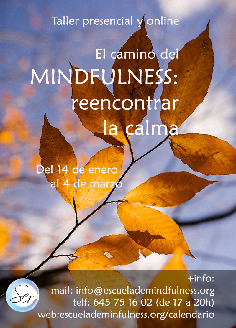 Taller presencial y online «El camino del Mindfulness: reencontrar la calma», comienzo 14 de enero 2025 – 35ª EDICIÓN