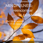 mindfulness-oct-dic-24