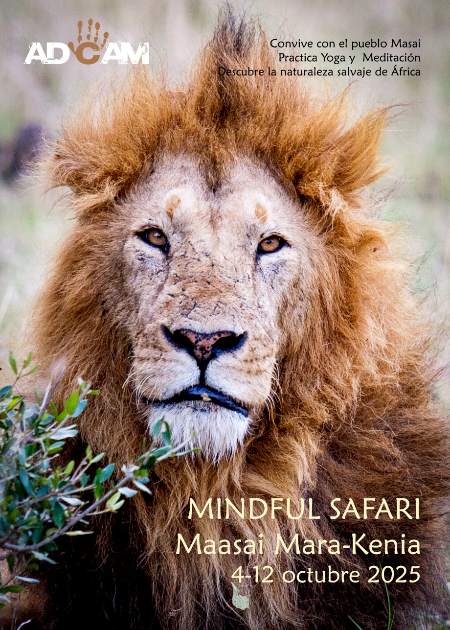 mindful-safari-2025